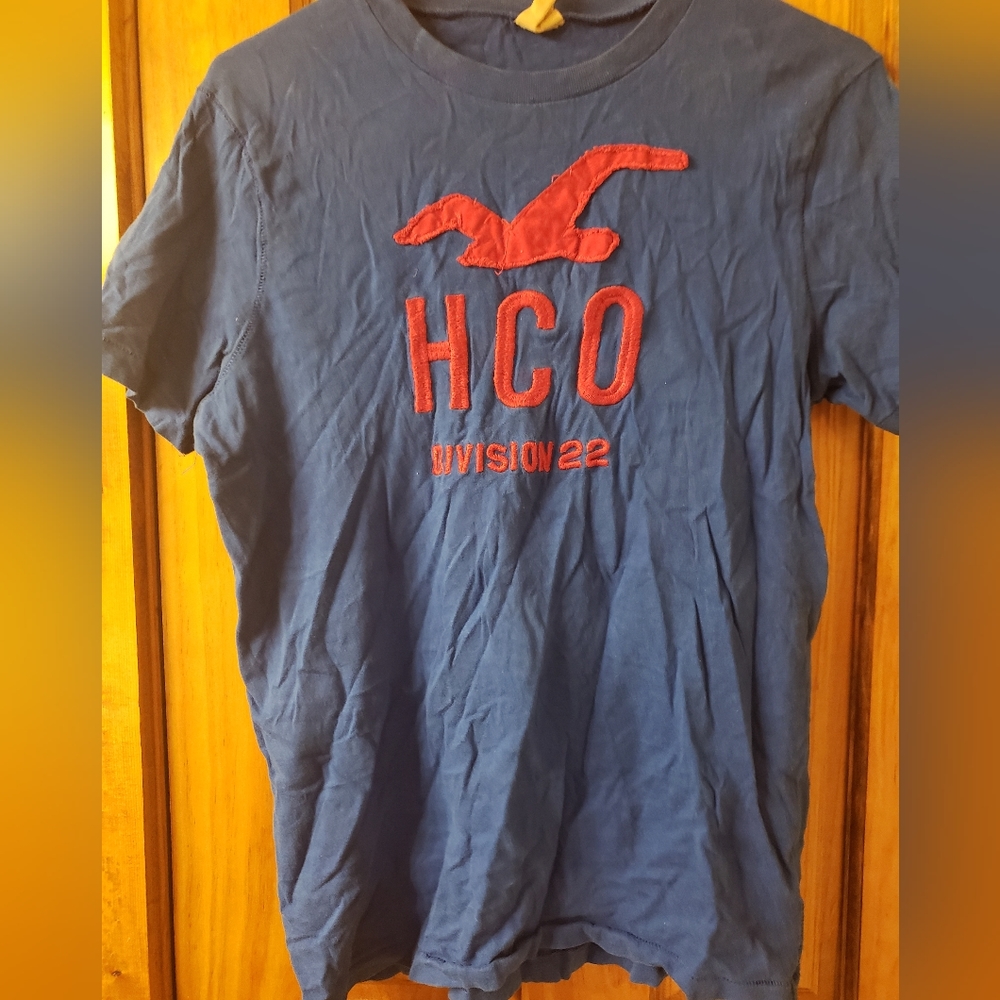 Hollister graphic Tee-blue/orange